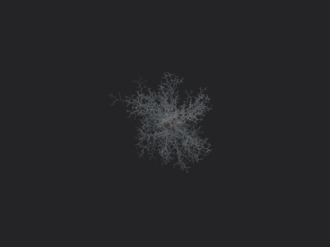 Tree 004 3D Model