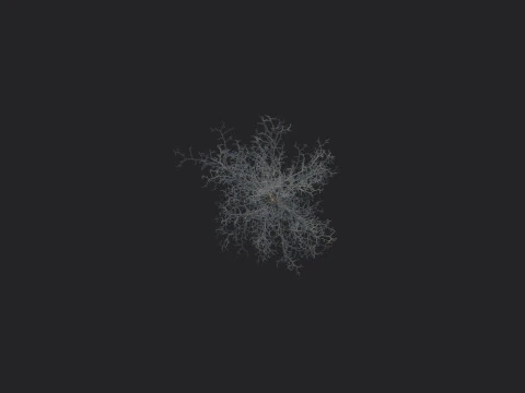 Tree 004 3D Model