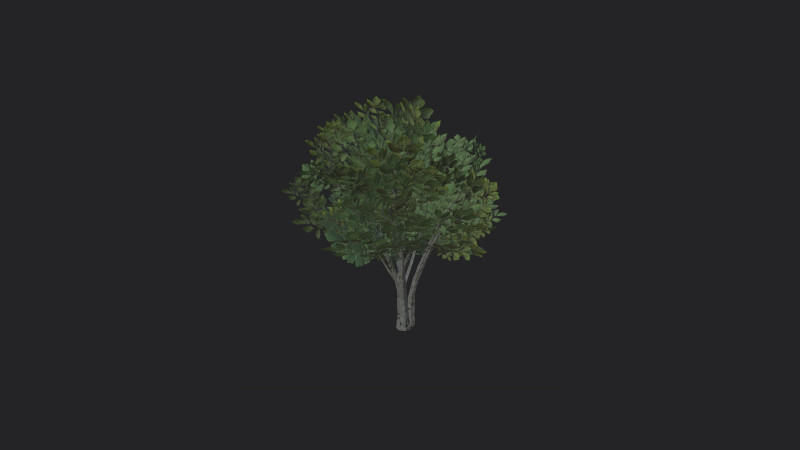 Tree 005 3D-Modell .c4d .max .obj .3ds .fbx .stl .blend 