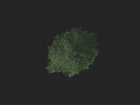 Albero 005 Modello 3D
