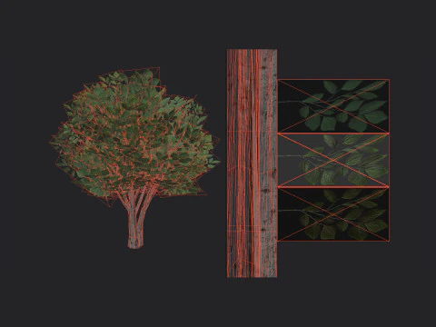 Albero 005 Modello 3D