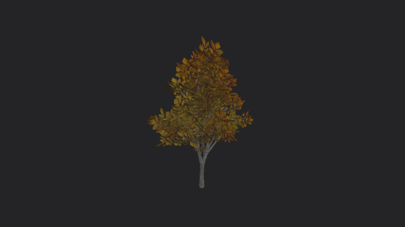 Tree 006 3D Model .c4d .max .obj .3ds .fbx .stl .blend 