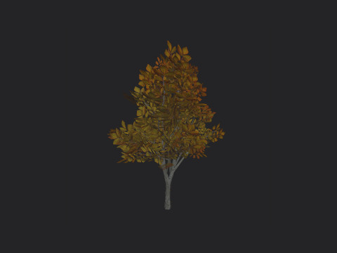 Tree 006 3D 모델