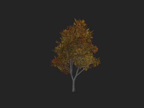 Tree 006 3D Model