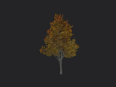 Tree 006 3D Model