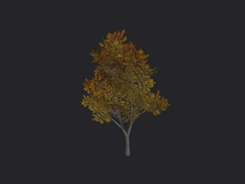 Tree 006 3D Model