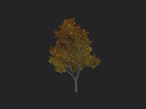 Tree 006 3D Model
