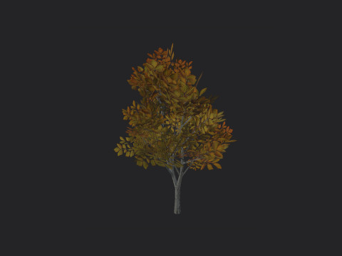Tree 006 3D Model