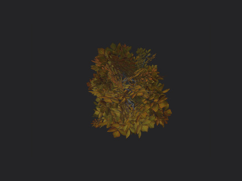 Tree 006 3D Model