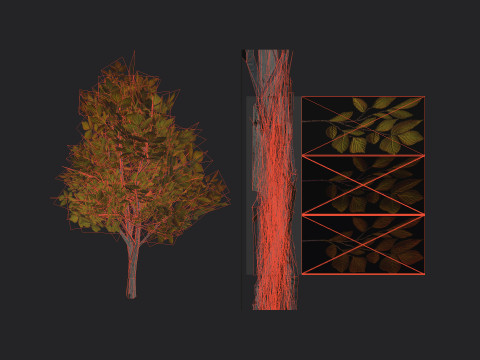 Tree 006 3D Model