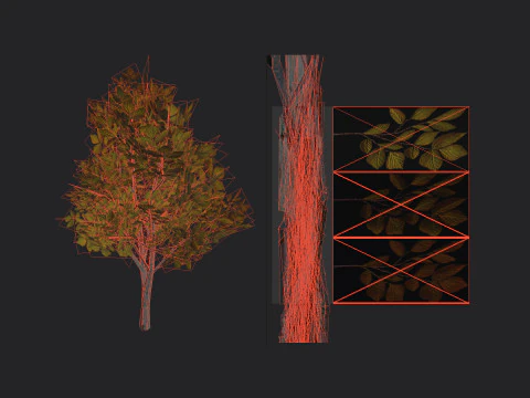 Tree 006 3D Model