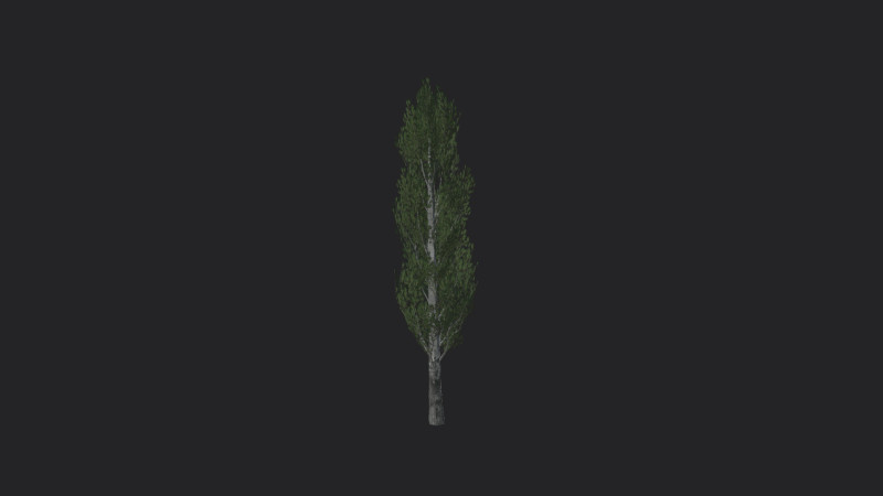 Tree 007 3D 모델 .c4d .max .obj .3ds .fbx .stl .blend 