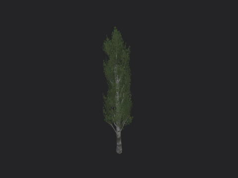 Tree 007 3D 모델