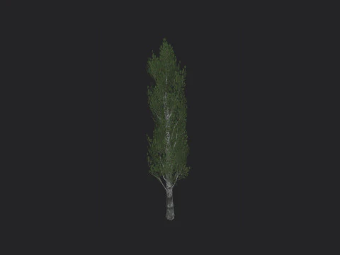 Albero 007 Modello 3D