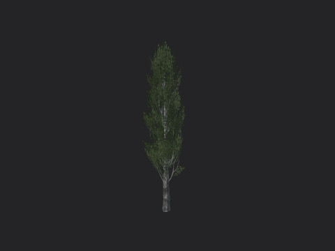 Tree 007 3D 모델