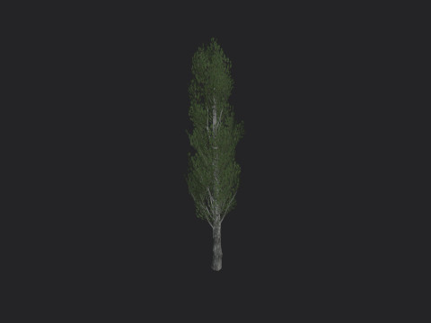 Tree 007 3D 모델