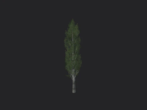 Albero 007 Modello 3D