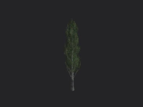 Albero 007 Modello 3D