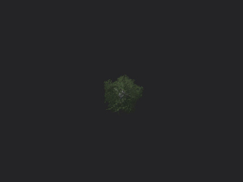 Tree 007 3D 모델