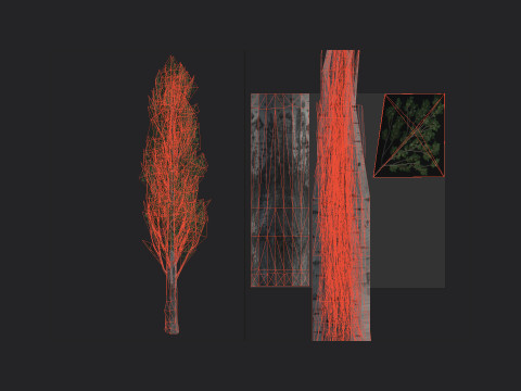 Tree 007 3D 모델
