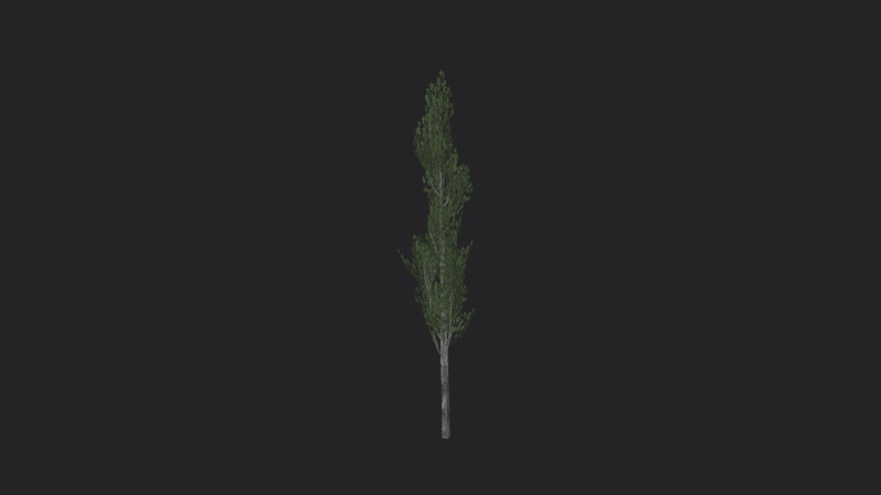 Tree 008 3D 모델 .c4d .max .obj .3ds .fbx .stl .blend 