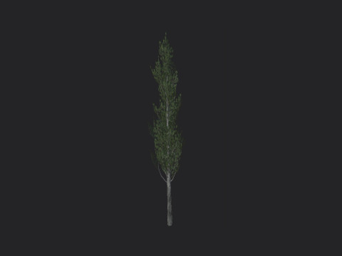 Tree 008 3D 모델