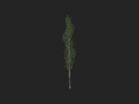 Tree 008 3D 모델
