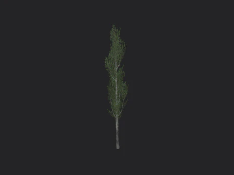Tree 008 3D Model