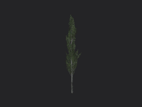 Tree 008 3D 모델