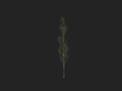 Tree 008 3D 모델