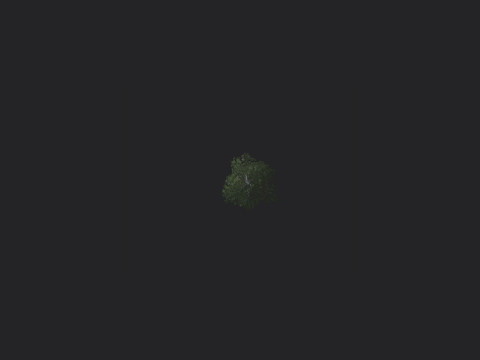 Tree 008 3D 모델