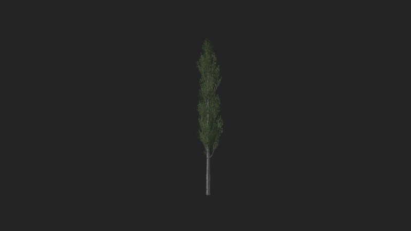 Tree 009 Model 3D .c4d .max .obj .3ds .fbx .stl .blend 