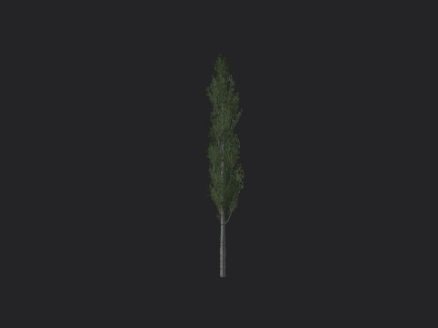 Tree 009 3Dモデル