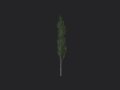 Tree 009 3D Model