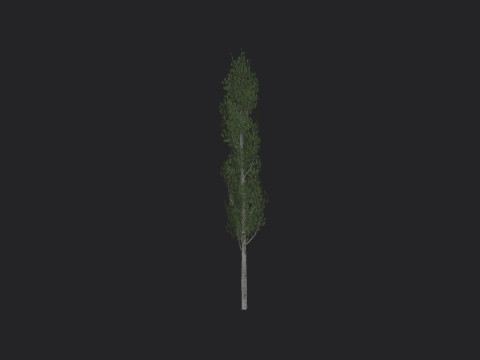Tree 009 Model 3D