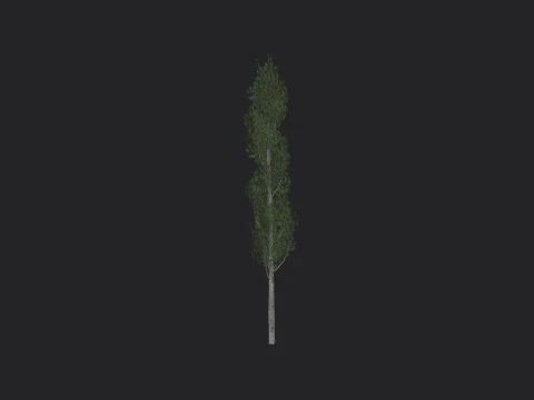 Tree 009 3D Model