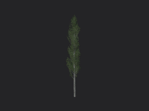 Tree 009 Model 3D