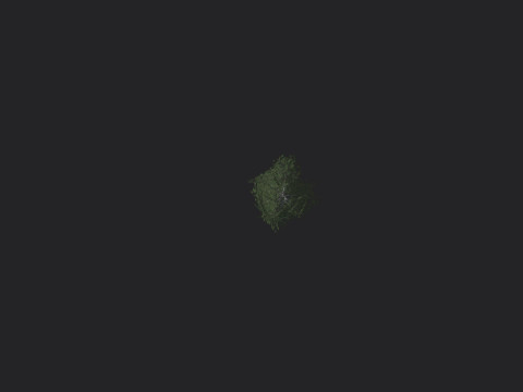 Tree 009 Model 3D