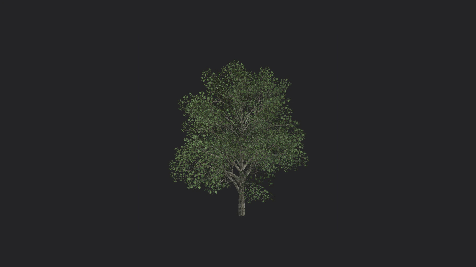 Albero 010 Modello 3D .c4d .max .obj .3ds .fbx .stl .blend 
