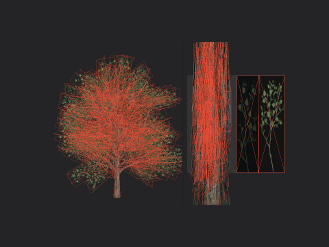 Tree 010 3D Model