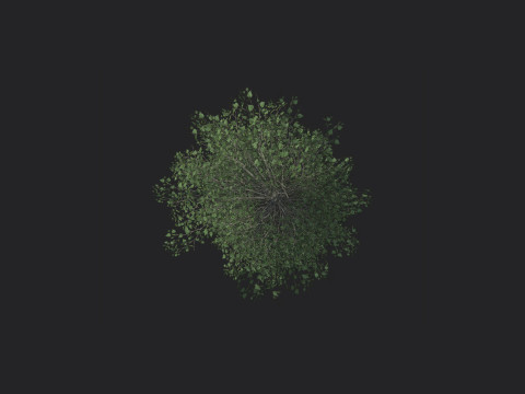 Tree 011 Model 3D