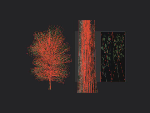 Tree 011 Model 3D