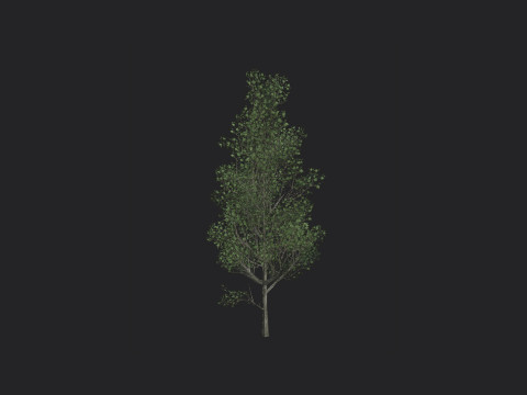 Tree 012 3D-Modell