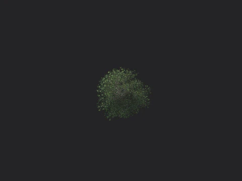 Tree 012 3D Model