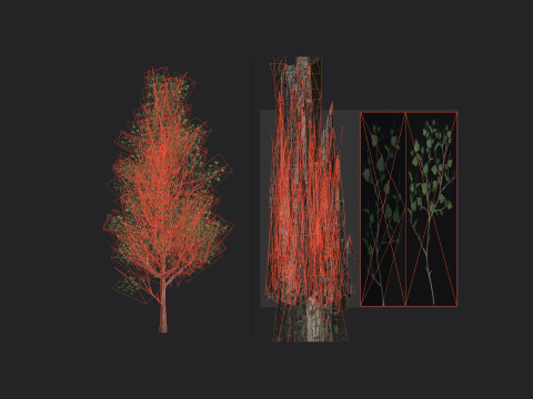 Tree 012 3D-Modell