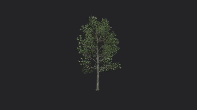 Tree 013 3D-Modell .c4d .max .obj .3ds .fbx .stl .blend 