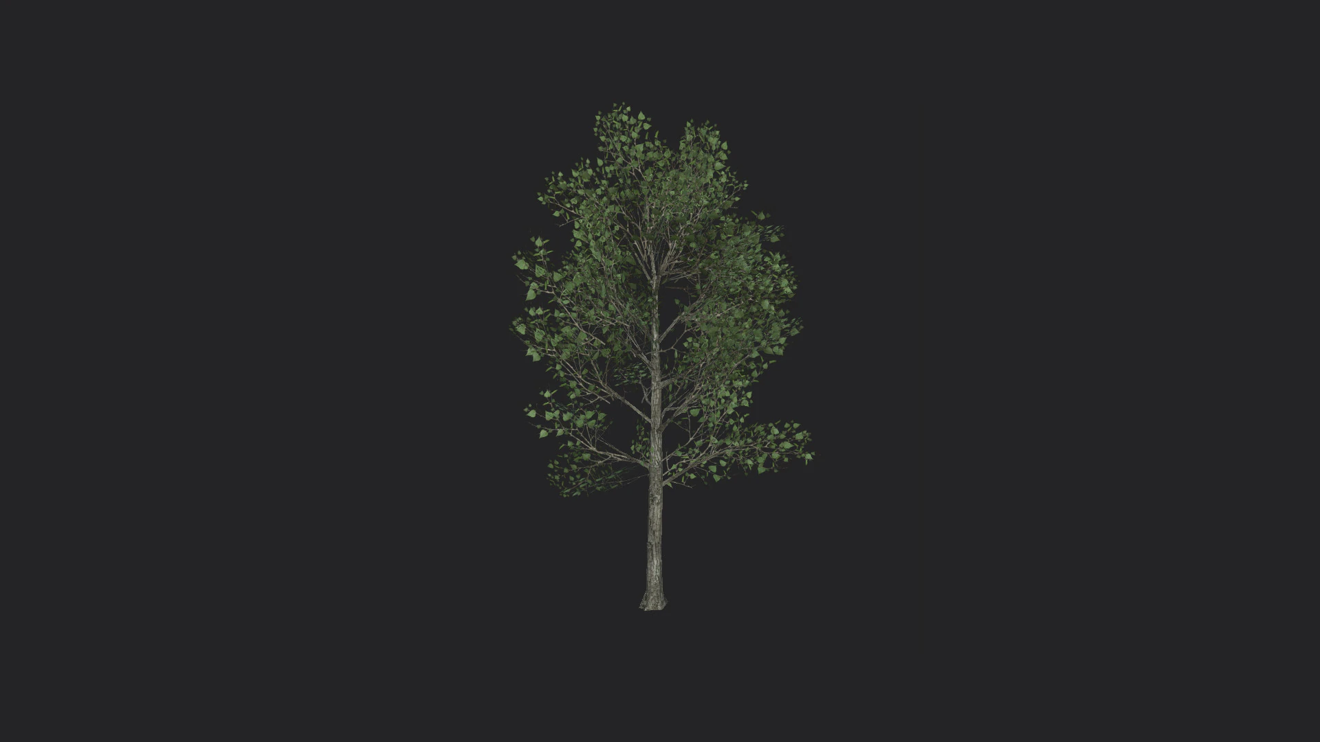 Tree 013 3D Model .c4d .max .obj .3ds .fbx .stl .blend 