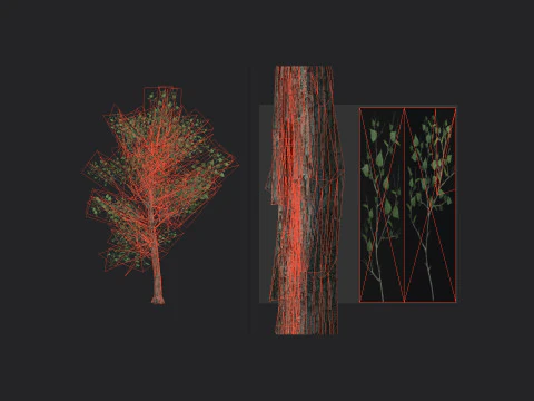 Tree 013 3D Model