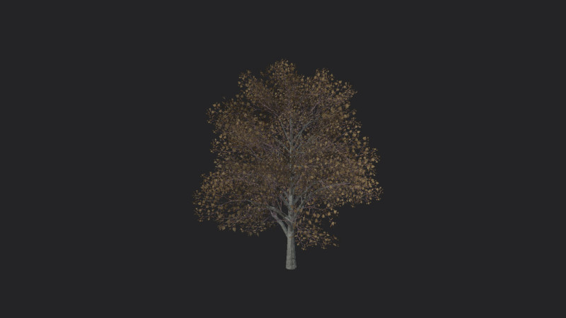Tree 014 3D 모델 .c4d .max .obj .3ds .fbx .stl .blend 