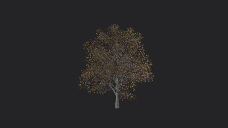 Tree 014 3D Model .c4d .max .obj .3ds .fbx .stl .blend